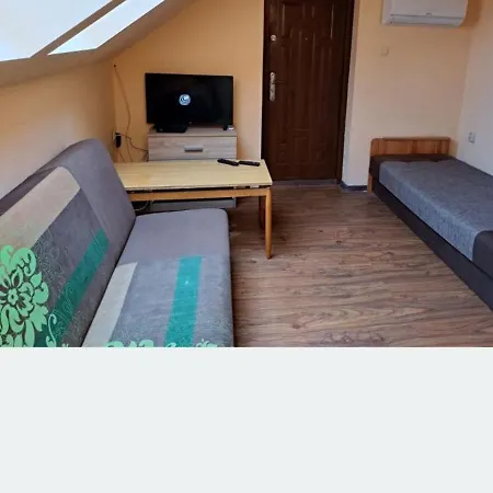 Szara Ges Daire Swinoujscie